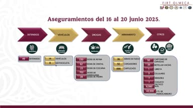 ImagenEn cuatro días se registraron 49 detenidos: SEDENA