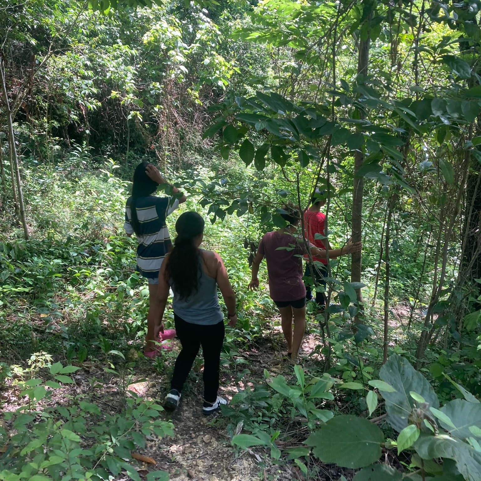 Baja el flujo migratorio por invierno