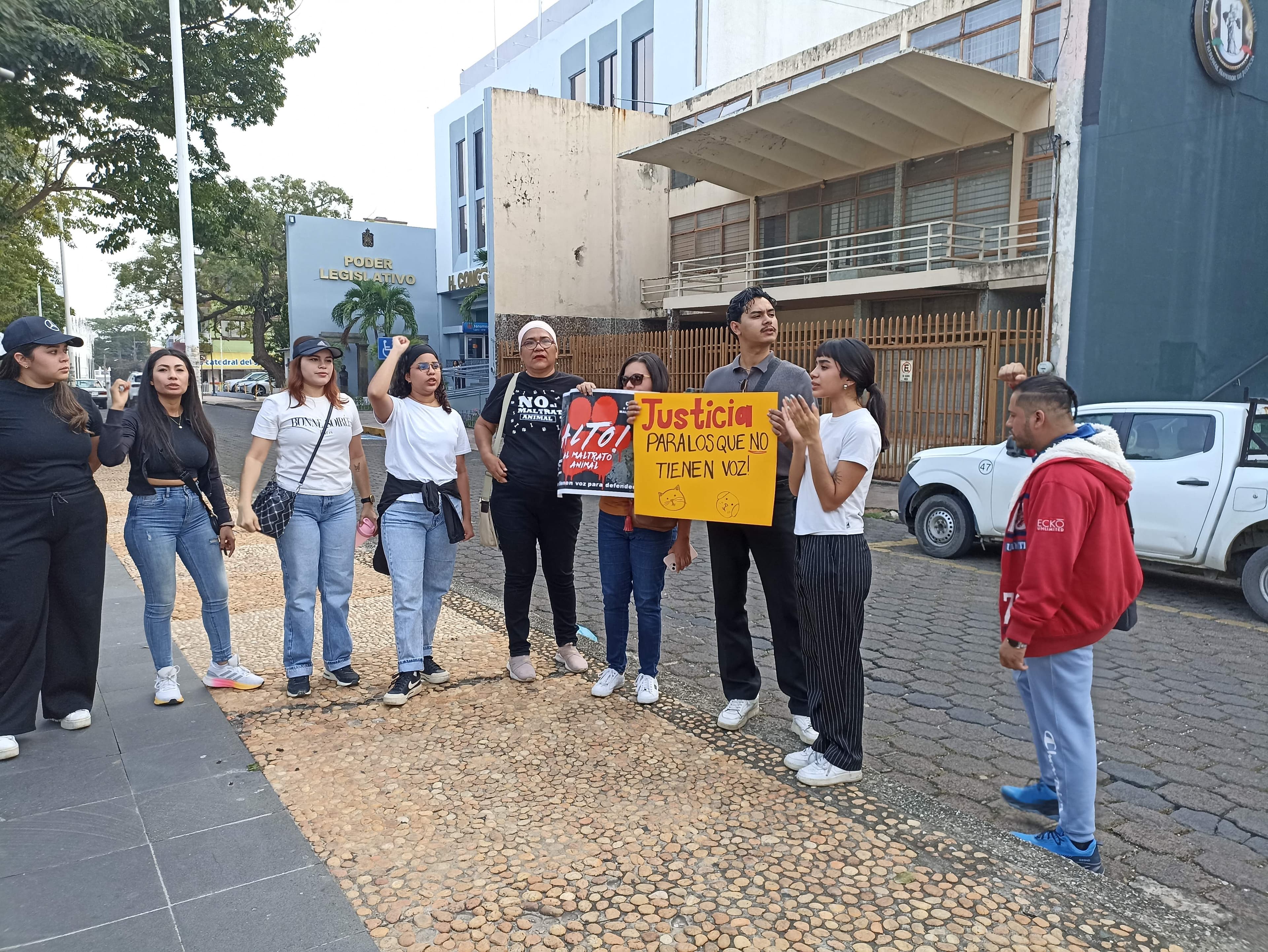 Marcha contra el maltrato animal busca agravar condenas 