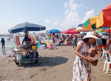 ImagenPalaperos de Veracruz no alcanzaron el 80% de sus ventas