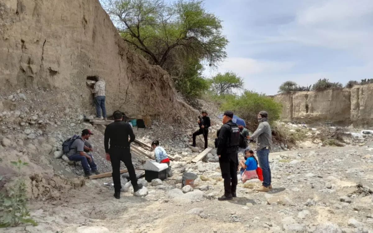 Llamada anónima lleva a presuntos restos de un mamut en Tamaulipas