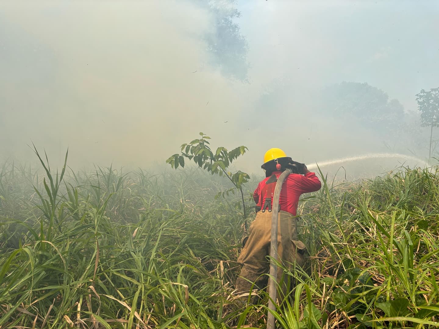En lo que va de 2025, 312 has. quemadas y 170 incendios de pastizales: IPCET