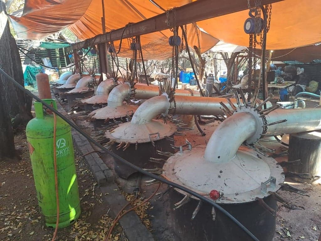 Detienen a dos mexicanos por narcotráfico en Sudáfrica 