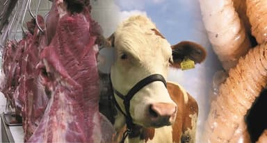 ImagenEn declive la venta de carne de res en Chiapas