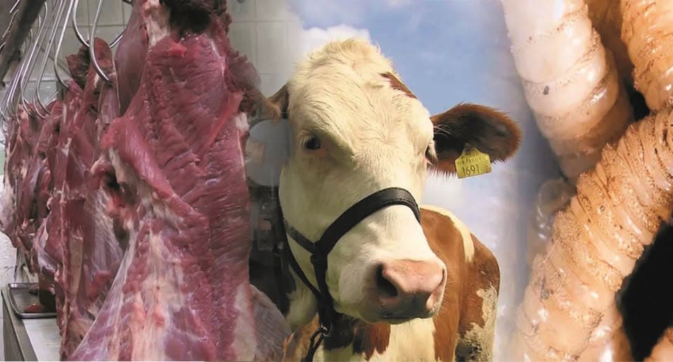 En declive la venta de carne de res en Chiapas