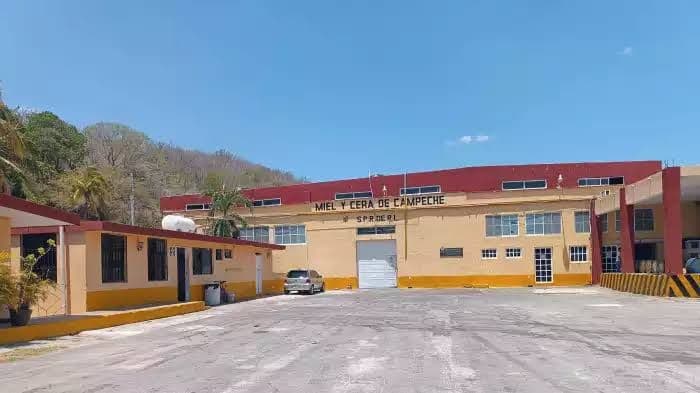 Miel y Cera de Campeche, enfrenta quiebra financiera
