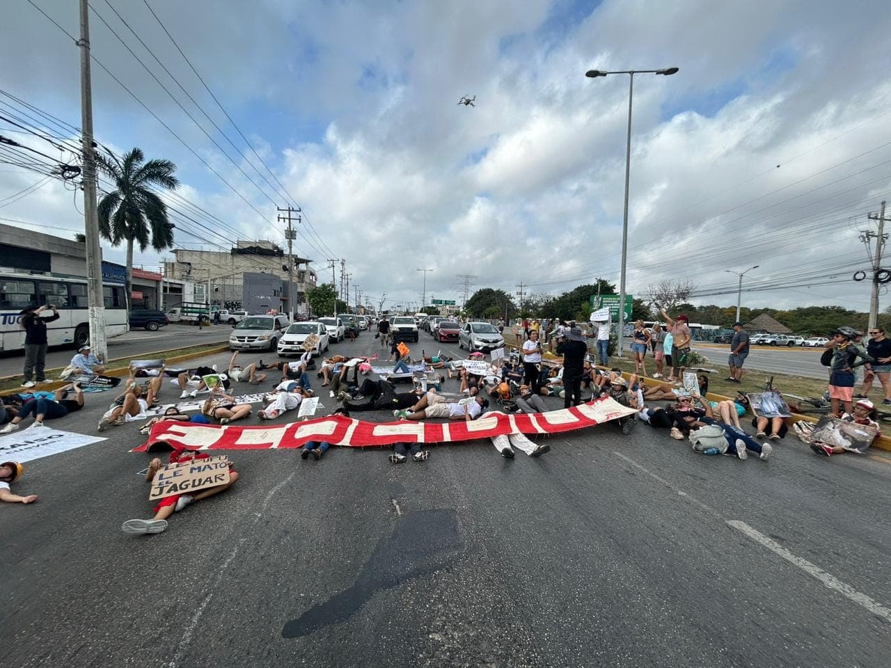 Ambientalistas se manifiestan en Playa del Carmen 