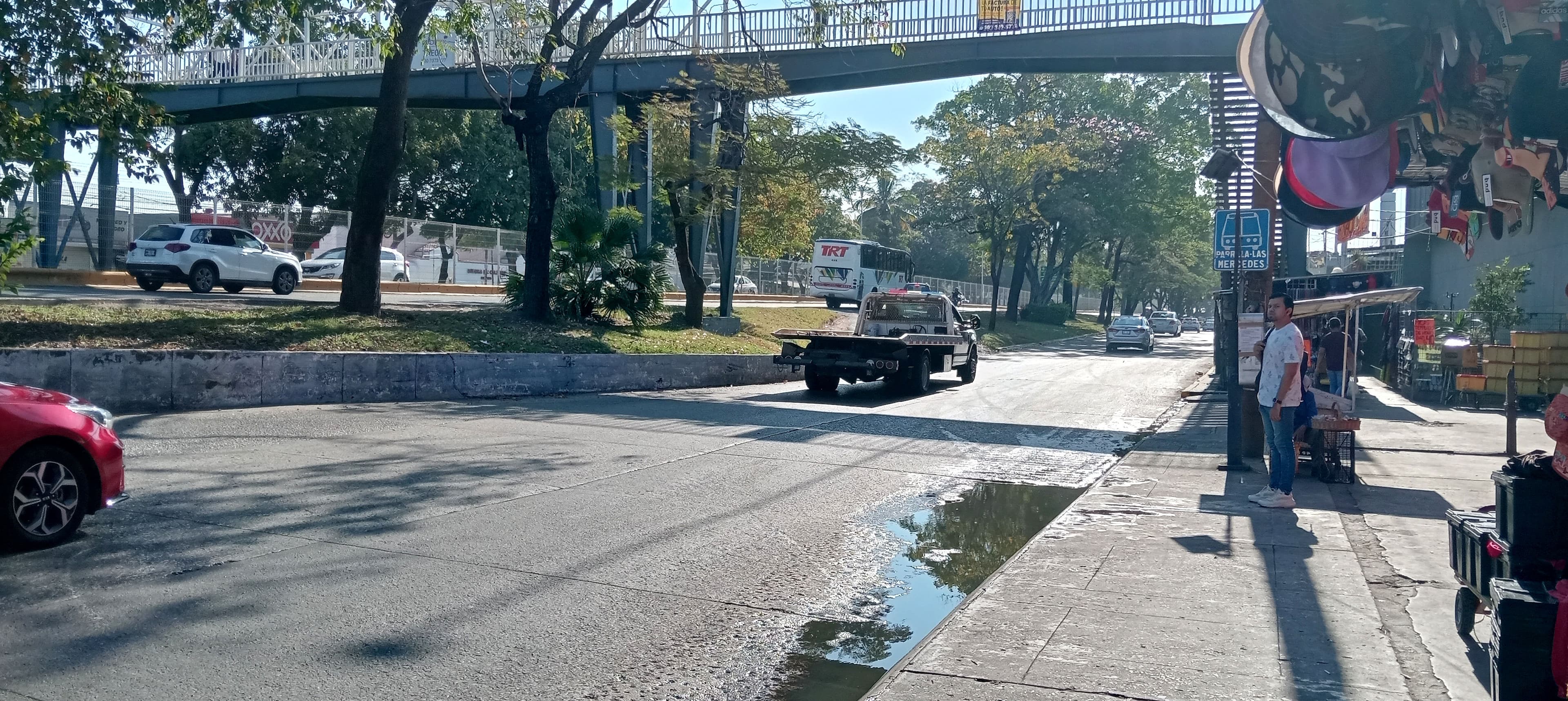 Salen de operación 27 grueras patitos: Semovi