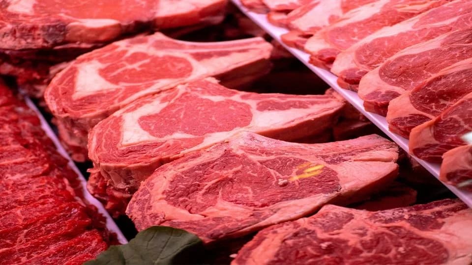 Se intoxican 20 niños por E.coli en Francia