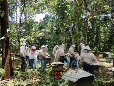 ImagenApicultores de Tapachula reciben capacitación para mejorar producción 