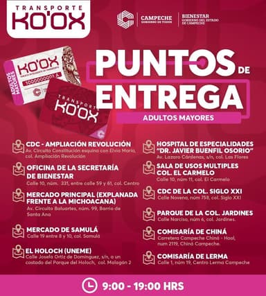 ImagenEn Campeche apoyarán transporte de adultos mayores y discapacitados 