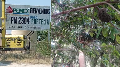 ImagenPor Pemex, contaminación ambiental en Chilapa, Centla