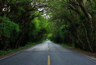 ImagenLluvias moderadas para este lunes en Tabasco