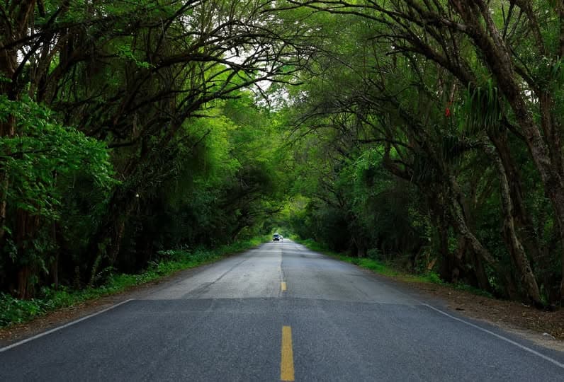 Lluvias moderadas para este lunes en Tabasco