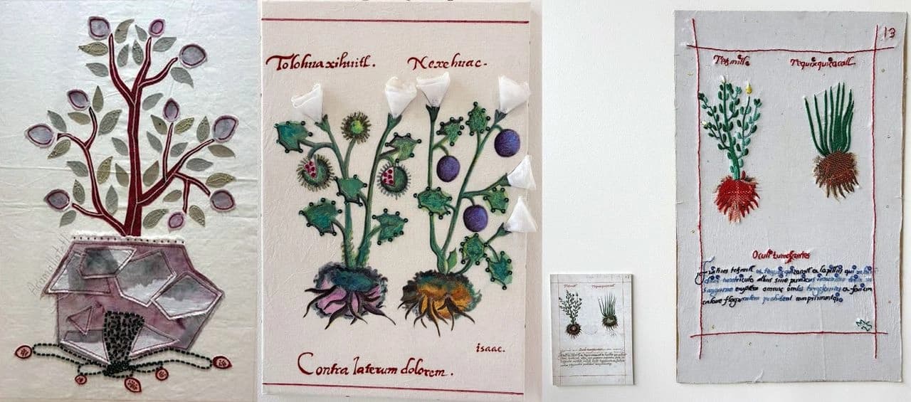 Exhiben manuscrito prehispánico sobre plantas medicinales