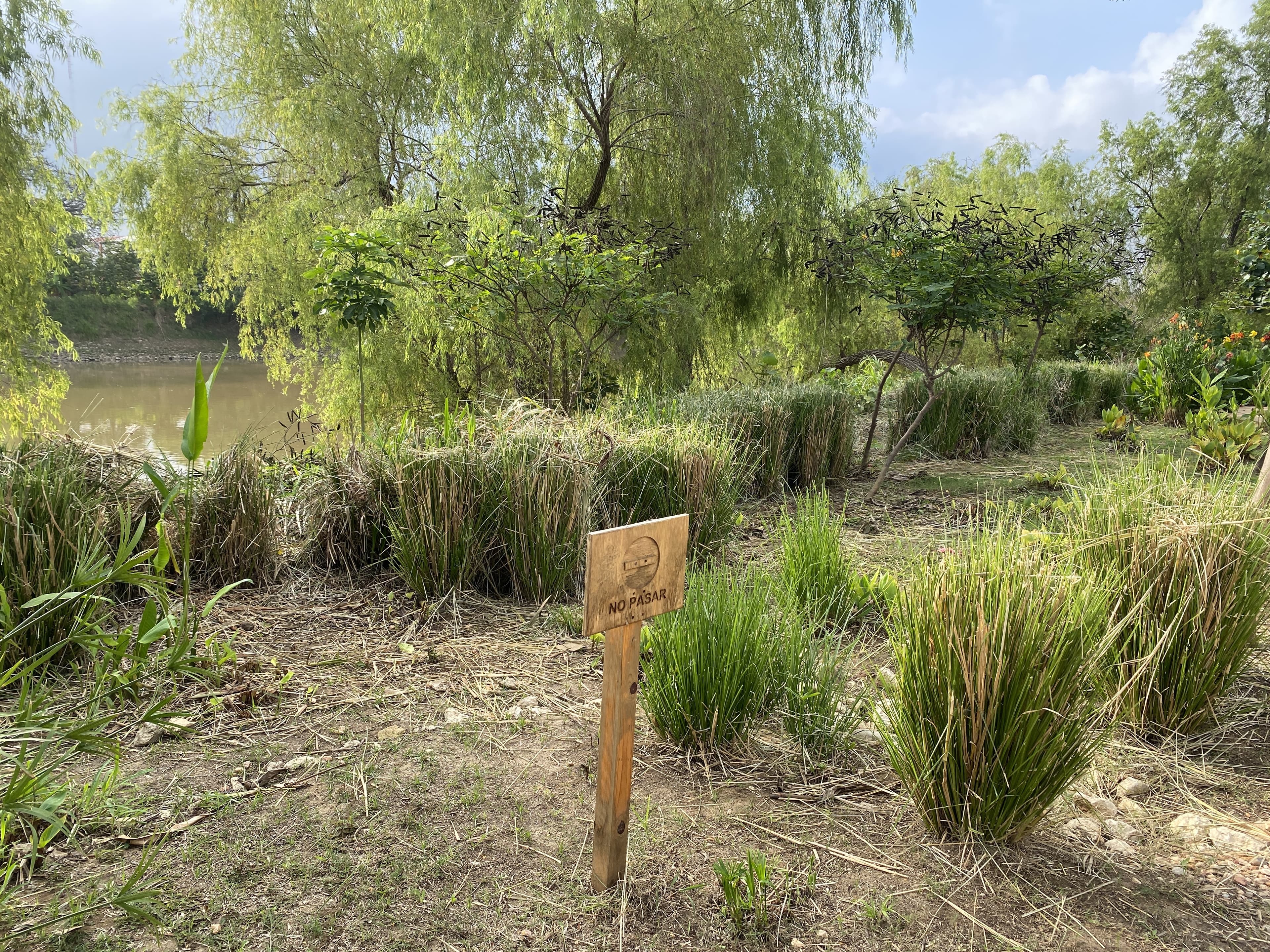 Inicia limpieza del malecón Carlos A. Madrazo
