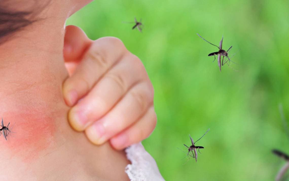 En aumento casos de dengue en Tabasco