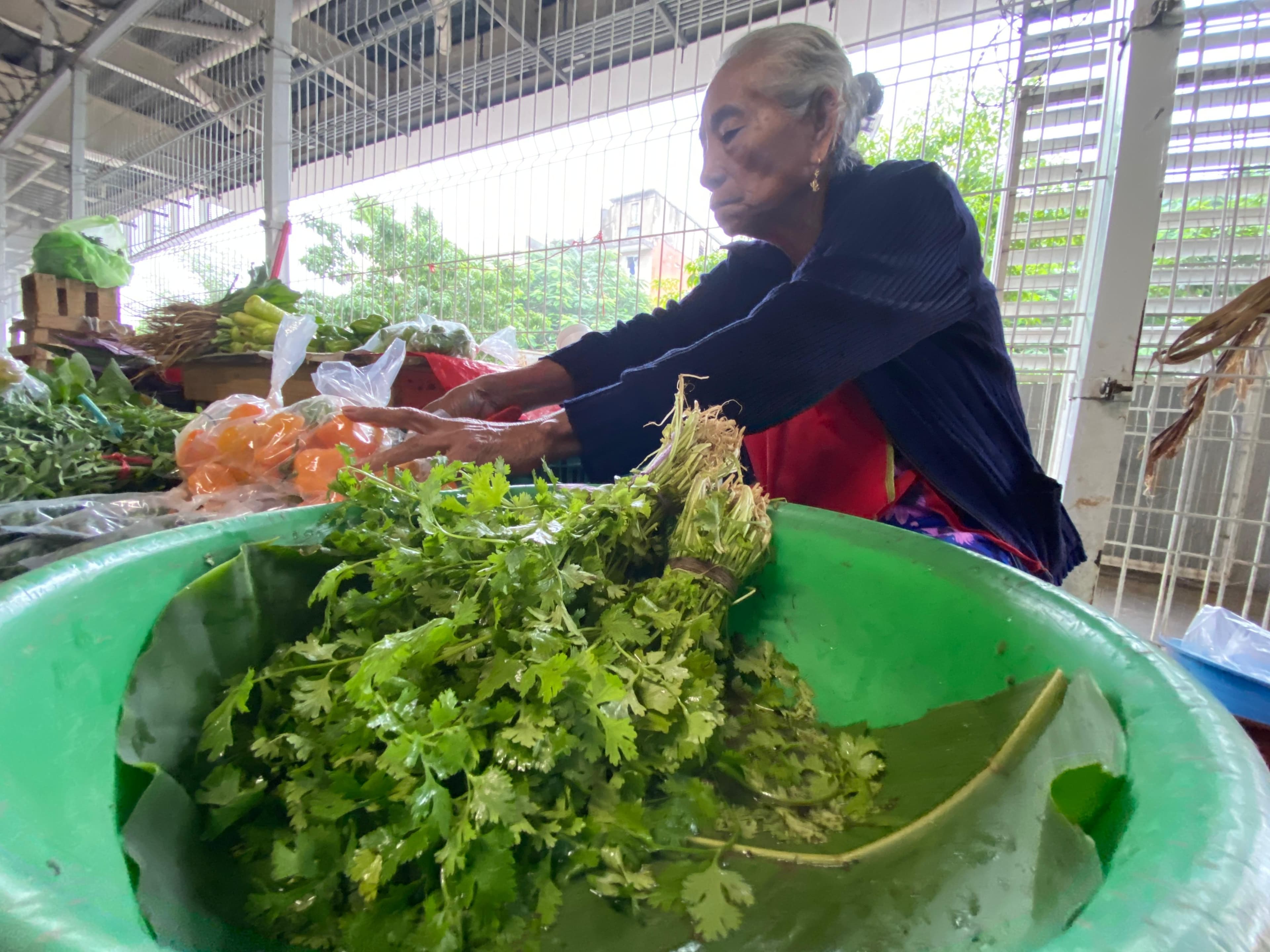 'No hay tacos ni salsas, sin cilantro'