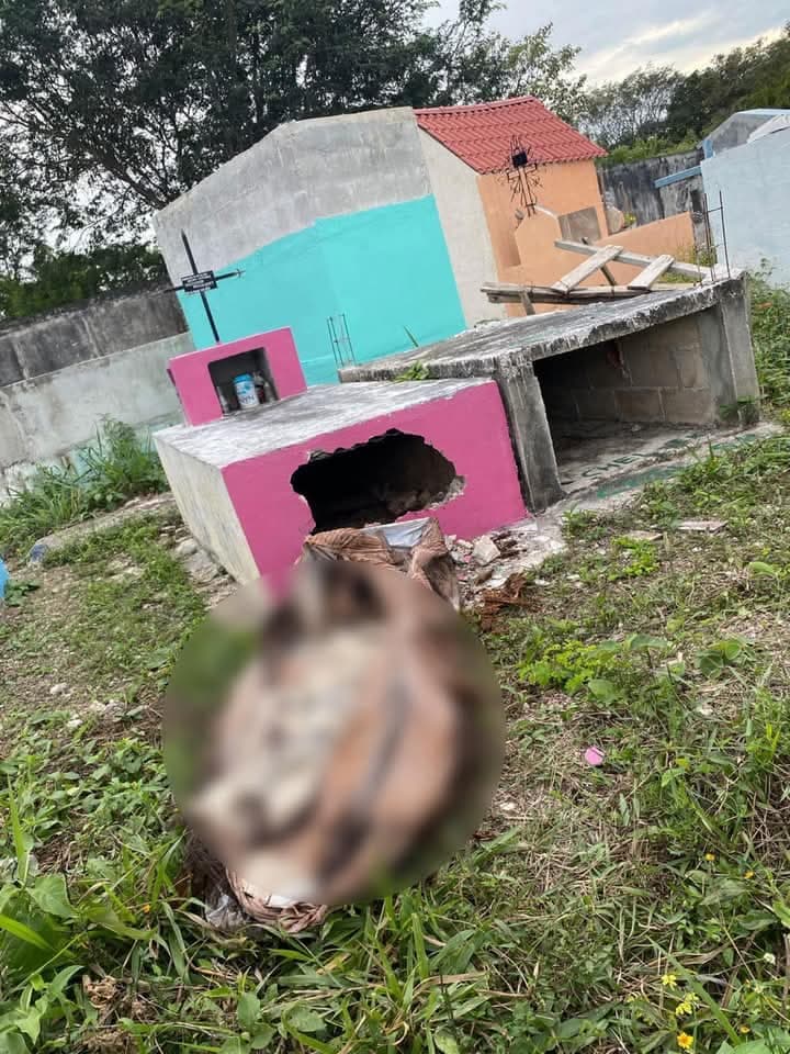 Profanan 12 tumbas para robar cráneos en Escárcega 
