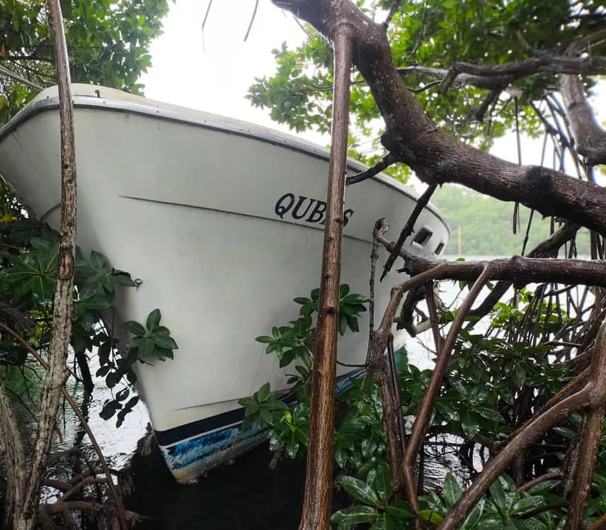 Crearán arrecifes artificiales con embarcaciones abandonadas