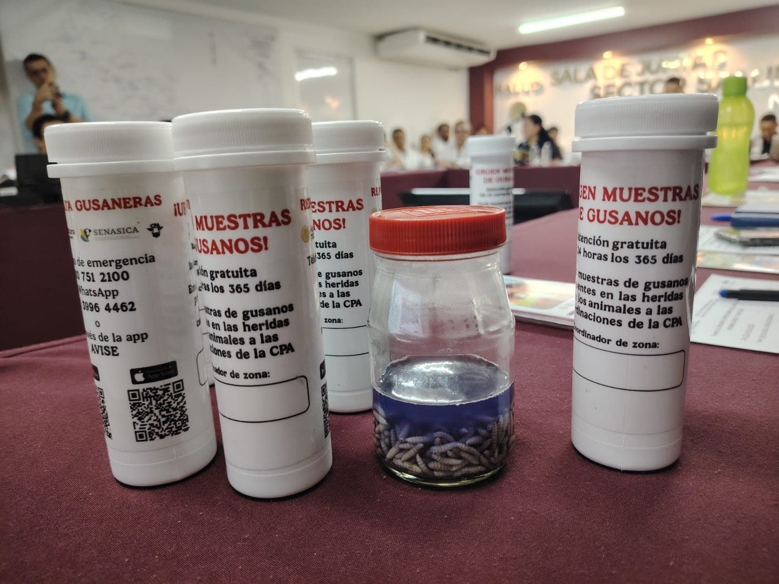 Monitorean tablajeros en la frontera de Chiapas por caso de gusano barrenador