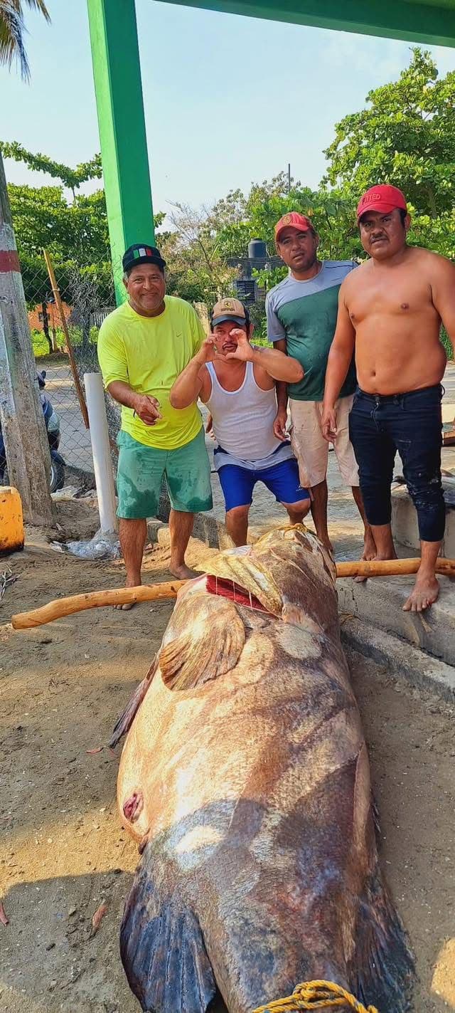 Capturan iMega cherna! en Paraíso