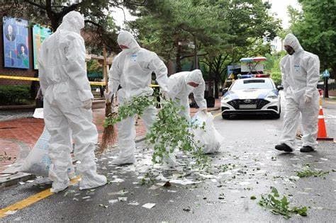 Caen globos de basura en Corea del Sur