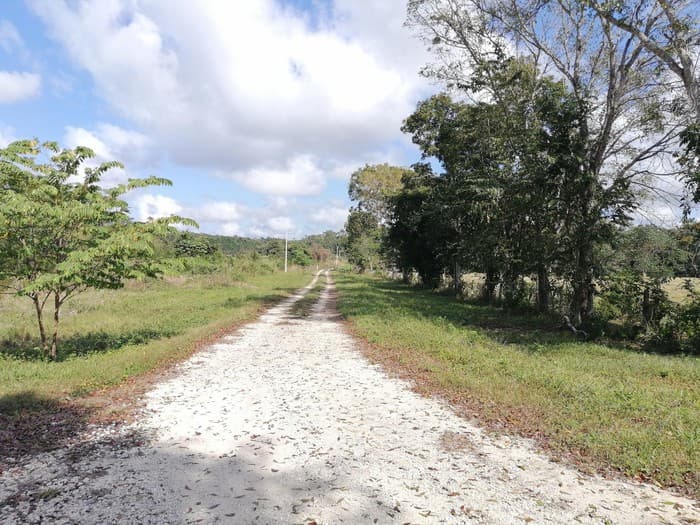 Comisariado ejidal de Champotón desaparece con todo y dinero 