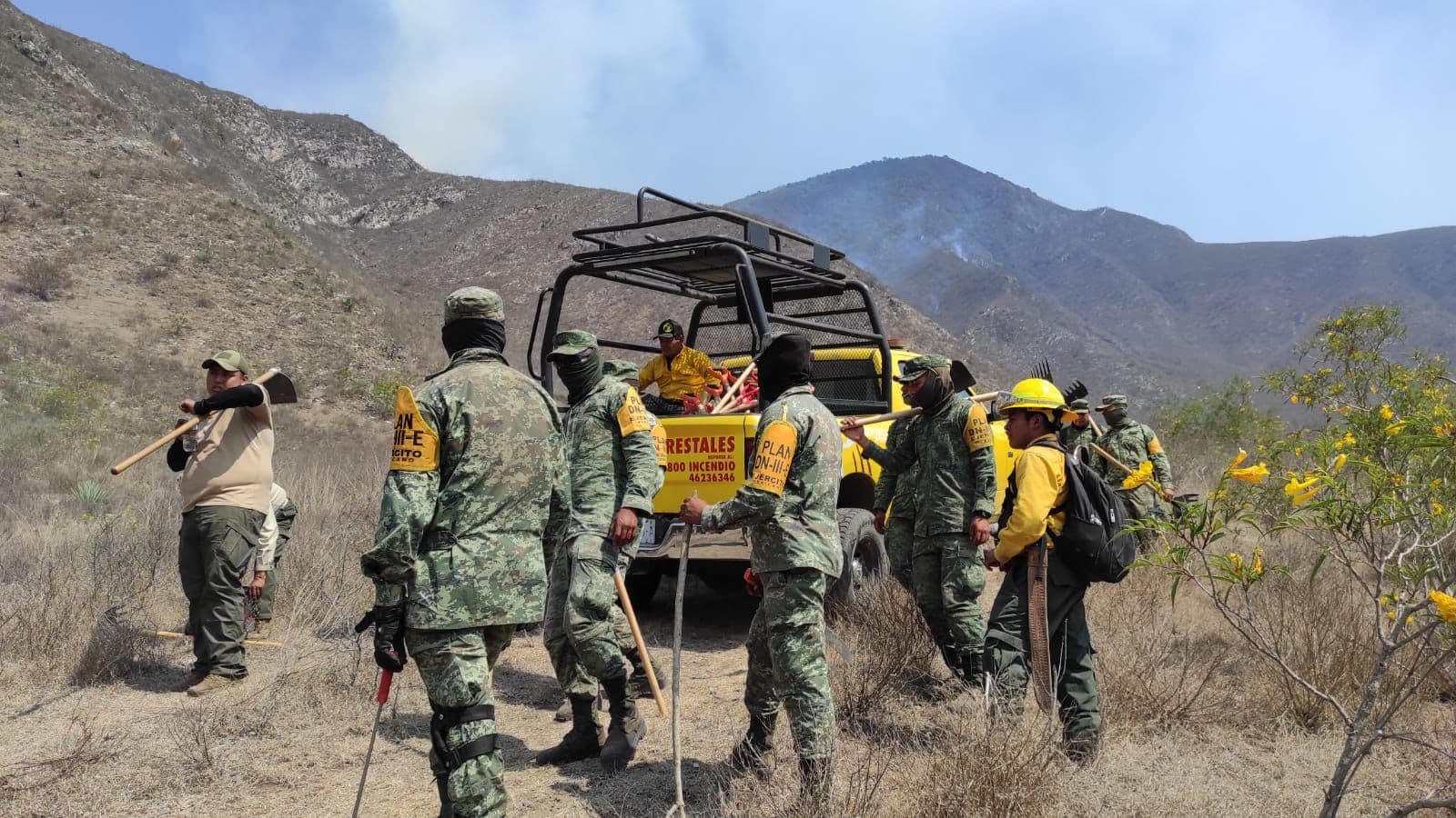 Dos mil 500 hectáreas dañadas por incendios 