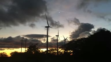 ImagenParques eólicos tienen impacto ambiental 