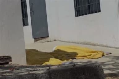 ImagenDetienen a dos funcionarios oaxaqueños por muerte de niñas haitianas 