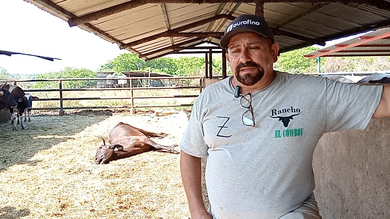 Ganaderos no descartan iniciar una demanda contra Bachoco