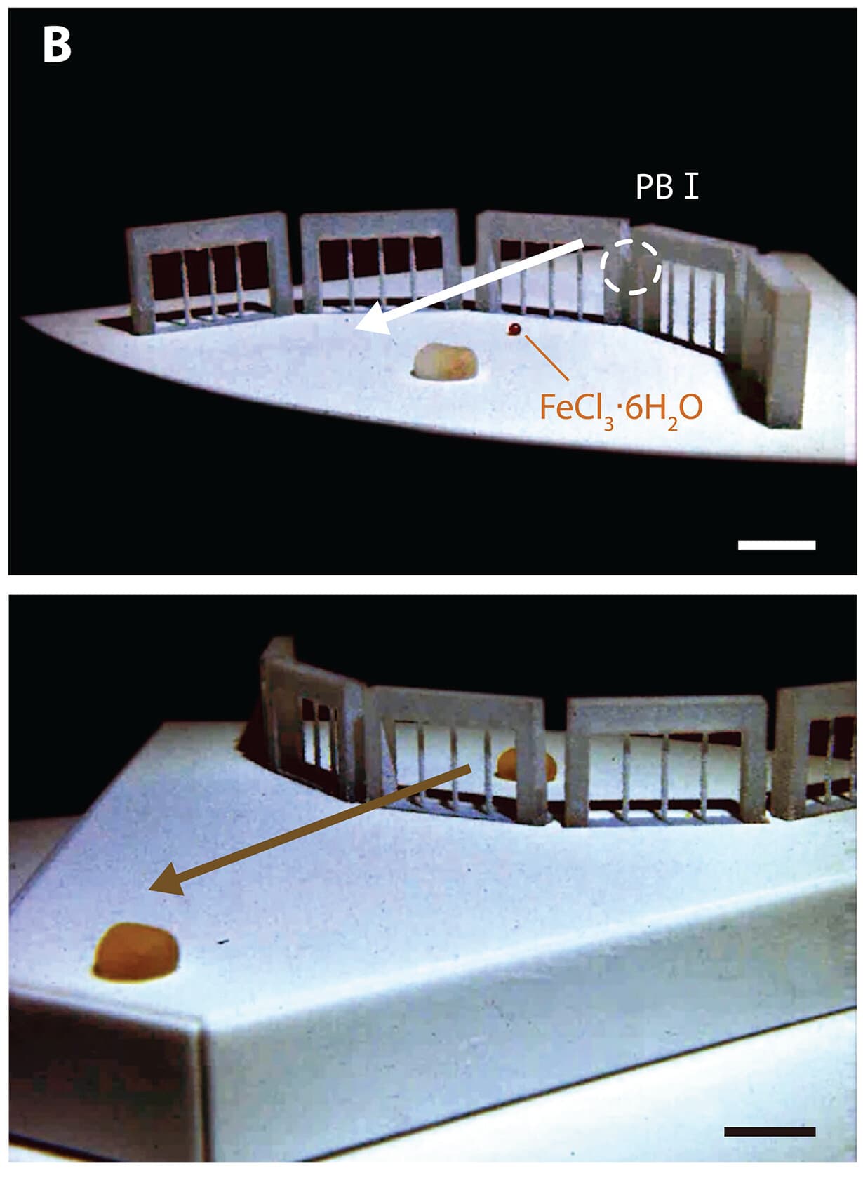 Crean robot líquido como en Terminator 2