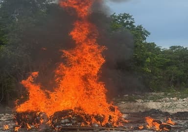 ImagenIncineran 212 kilos de narcóticos en Q. Roo