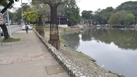 La salvan de acecho de cocodrilos