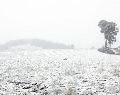 ImagenCofre de Perote en Veracruz registra la primera nevada de la temporada