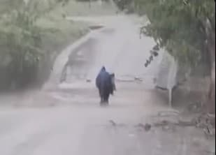 Confirman muerte de persona en Veracruz por inundaciones 