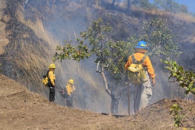 ImagenAlerta por incendios forestales en Chiapas