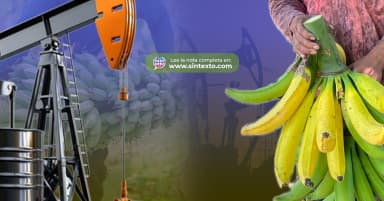 ImagenAniquila Oro Negro al  Oro Verde en Tabasco