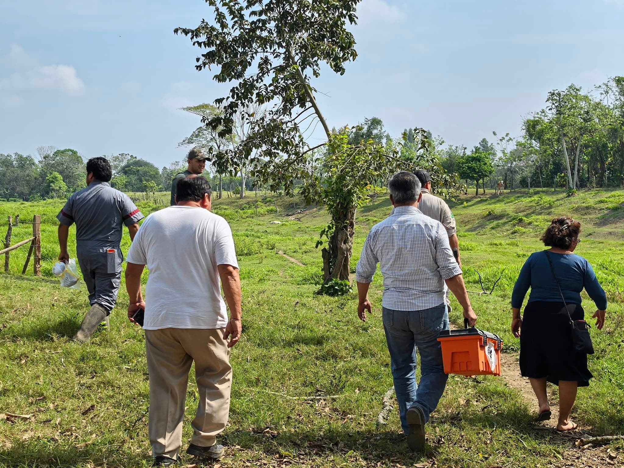 Fijan ganaderos postura sobre mortandad de reses 