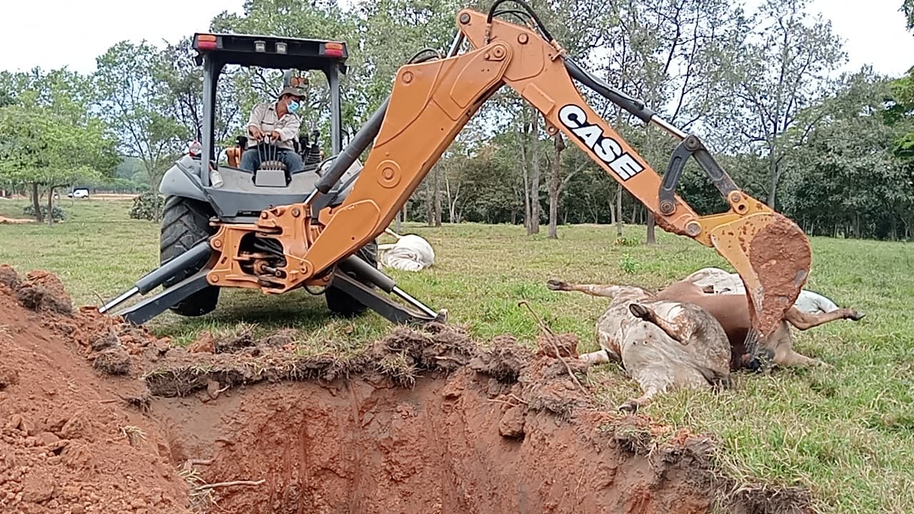 Desampara Gobierno a ganaderos 
