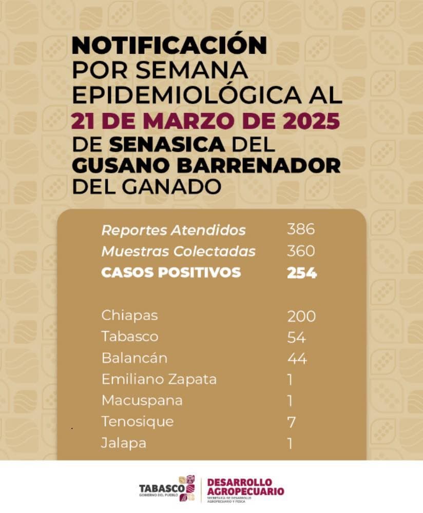 Siguen subiendo casos de gusano barrenador en Tabasco 