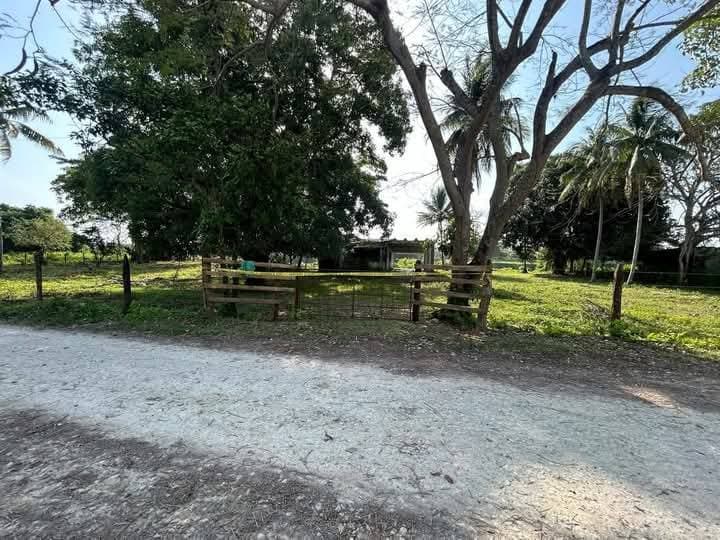 Hallan embolsado en rancho abandonado de Macuspana 