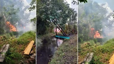 ImagenSe incendia Área Natural Protegida en Tenosique 