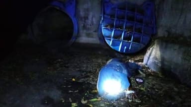 ImagenHallan embolsado en ranchería Corregidora de Centro 