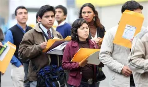 Dificulta a jóvenes inexperiencia laboral previa 