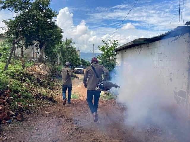 Confirman muerte por dengue en Chiapas