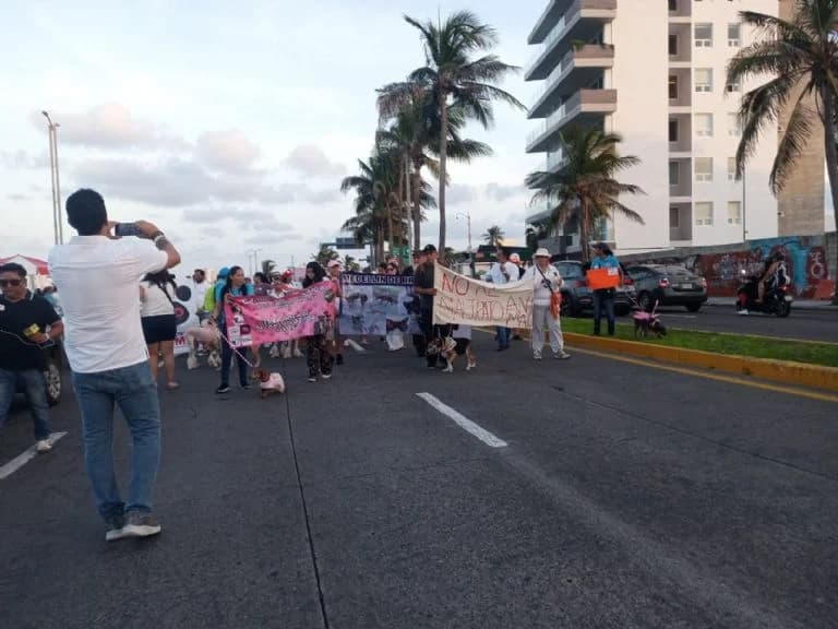 Marchan por maltrato animal en puerto de Veracruz