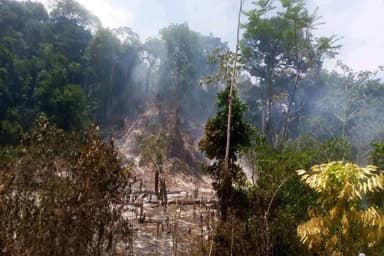 ImagenDisminuyen incendios 50% en Tuxtla Gutiérrez