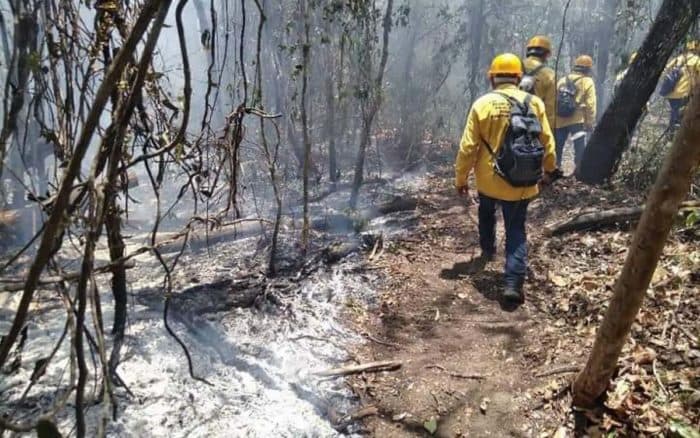 Se alistan por temporada de lluvias en Campeche